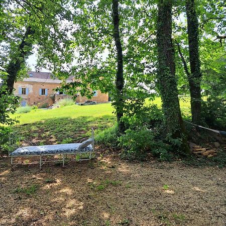 Charmant Studio Dans Maison D'Hote Dans Un Ecrin De Verdure Saint-Martin-le-Redon Zewnętrze zdjęcie
